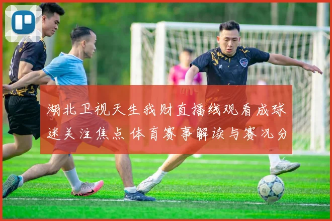 湖北卫视天生我财直播线观看成球迷关注焦点 体育赛事解读与赛况分析同步更新