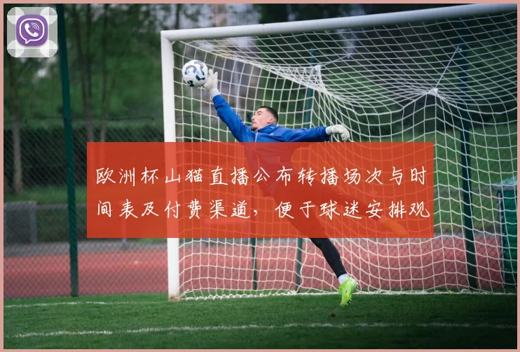 欧洲杯山猫直播公布转播场次与时间表及付费渠道,便于球迷安排观赛