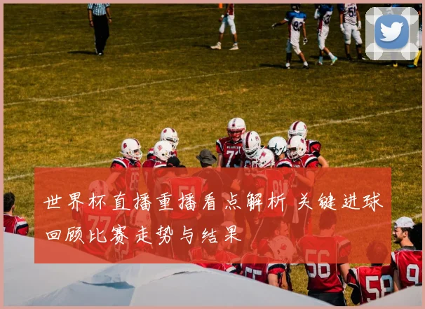 世界杯直播重播看点解析 关键进球回顾比赛走势与结果
