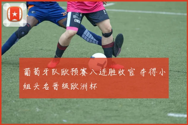 葡萄牙队欧预赛八连胜收官 夺得小组头名晋级欧洲杯