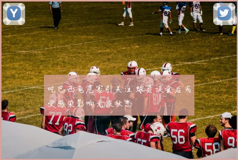 吃巴西龟危害引关注 球员误食后或受感染影响竞技状态