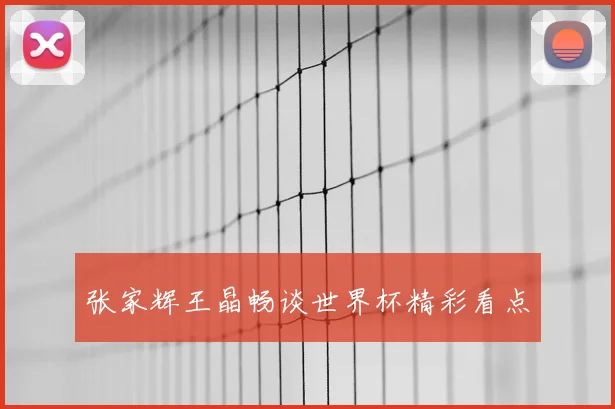 张家辉王晶畅谈世界杯精彩看点