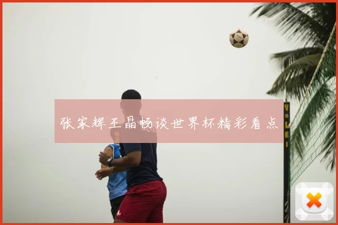 张家辉王晶畅谈世界杯精彩看点