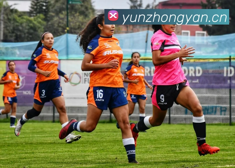 开云官方登陆入口发展历程