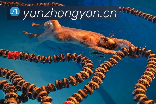 数据分析功能